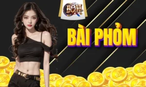 Phỏm - Tá Lả | Cách chơi đơn giản và cách tính điểm dễ hiểu