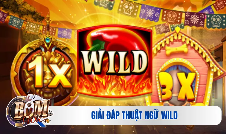 Giải đáp thuật ngữ Wild trong slot game là gì