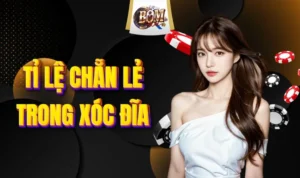 Hướng Dẫn Tính Tỉ Lệ Chẵn Lẻ Trong Xóc Đĩa Dễ Hiểu