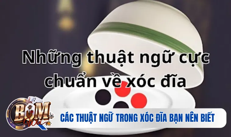 Các Thuật Ngữ Trong Xóc Đĩa Bạn Nên Biết Mới Nhất 3 Các thuật ngữ trong xóc đĩa bạn nên biết